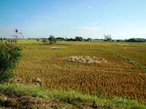 TARLAC 4 tarlac