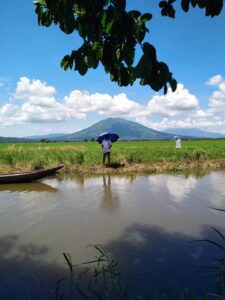 Baao farm lands